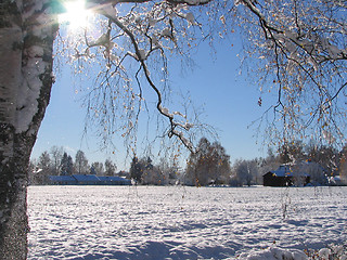 Image showing Winter in Dalarna, Sweden