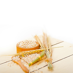 Image showing organic wheat grains