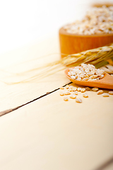 Image showing organic wheat grains