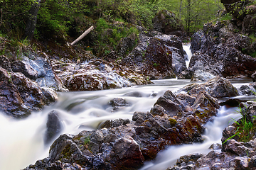 Image showing rapid mountain stream in Apuseni