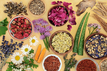 Image showing Healing Herbs for Natural Herbal Medicine