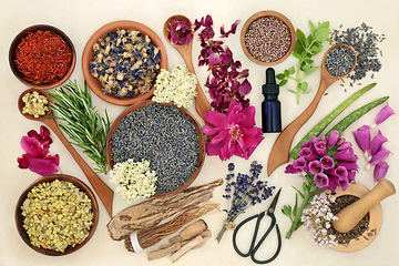 Image showing Natural Herbal Plant Medicine Preparation