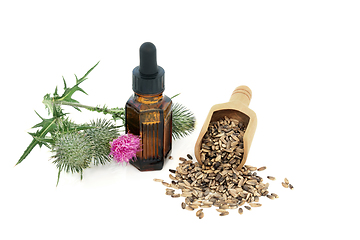 Image showing Milkthistle Oil and Seeds Used in Herbal Medicine