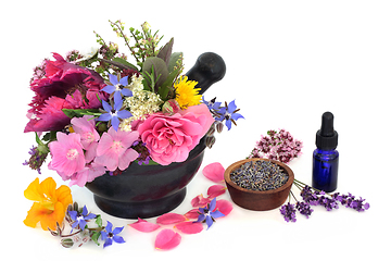 Image showing Medicinal Flowers and Herbs for Aromatherapy Essential Oils