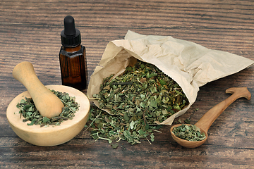 Image showing Lungwort Herb Leaf Natural Herbal Medicine