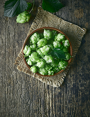 Image showing bowl of fresh green hop plant cones