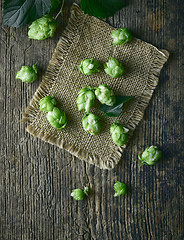 Image showing fresh green hop plant cones