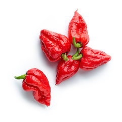 Image showing hot red ghost peppers