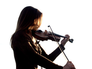 Image showing violin