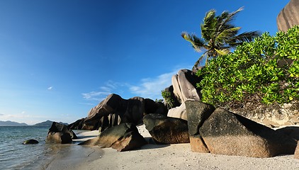 Image showing Scenic granite rocks and palm trees at Anse Source d'Argent beach on the La Digue island, Seychelles