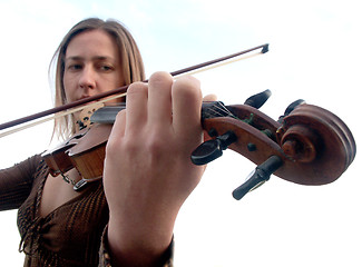 Image showing violin