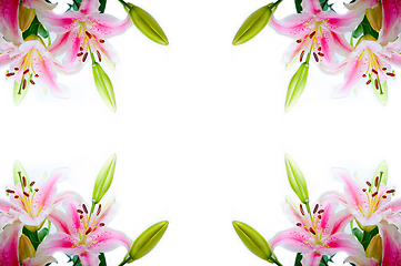 Image showing lily flowers corner frame