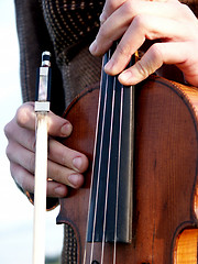 Image showing violin