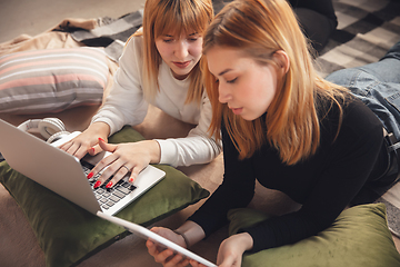 Image showing Young friends, women using gadgets to watch cinema, photos, online courses, taking selfie or vlog, top view