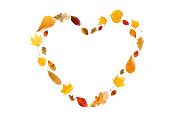 Image showing dry fallen autumn leaves in shape of heart