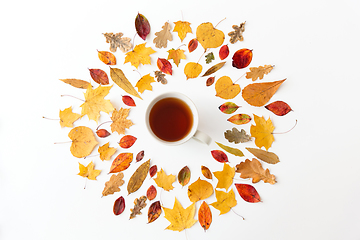 Image showing cup of black tea and different dry autumn leaves