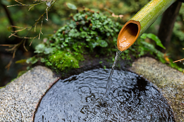 Image showing Water bamboo in Japanese temple