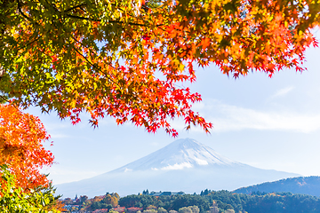 Image showing Mt Fuji in autumn view from lake Kawaguchiko