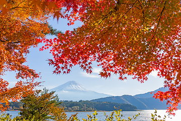 Image showing Mt.Fuji in Autumn