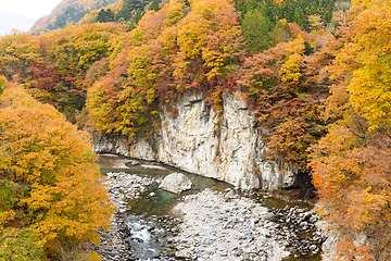 Image showing Autumn forest and river in Japan