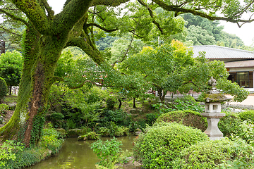 Image showing Japanese garden