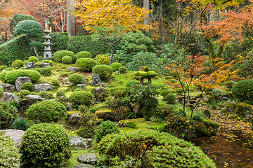 Image showing Japanese garden in autumn