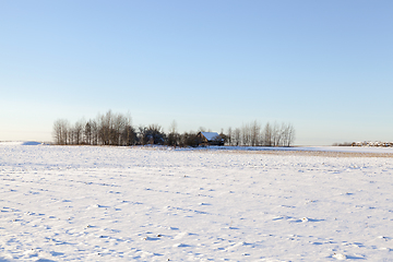 Image showing frost and snow