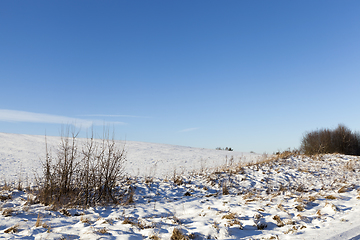 Image showing Winter field