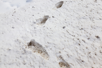 Image showing Footprint on snow