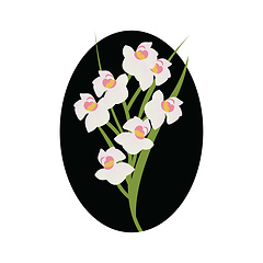 Image showing Vector illustration of white cymbidium orchid  flowers with gree