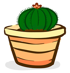 Image showing Round cactus plant with flower for room decoration provides extr