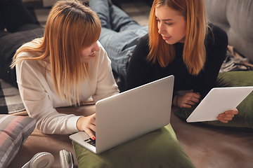 Image showing Young friends, women using gadgets to watch cinema, photos, online courses, taking selfie or vlog, top view