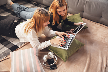 Image showing Young friends, women using gadgets to watch cinema, photos, online courses, taking selfie or vlog, top view