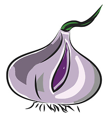 Image showing An onion, vector color illustration.