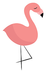 Image showing A standing flamingo vector or color illustration