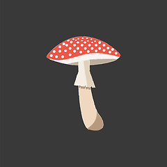 Image showing A cute little red-colored mushroom vector or color illustration