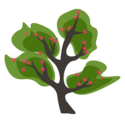 Image showing Clipart of a tall branched green Acacia tree blossomed with pink