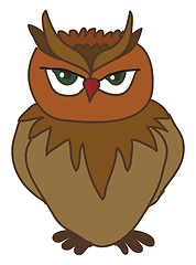 Image showing An angry looking owl vector or color illustration