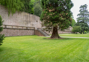 Image showing Park in Heidelberg