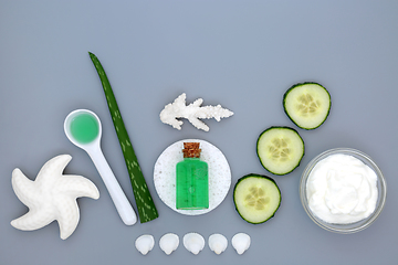 Image showing Plant Based Skincare Treatment with Aloe and Cucumber 