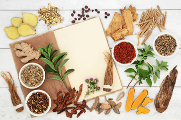 Image showing Herbal Medicine for Immune System Protection