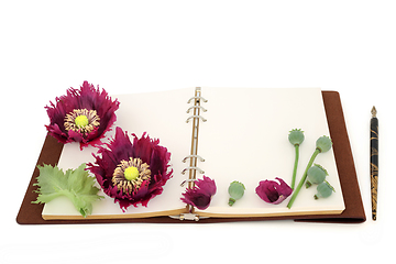 Image showing Apothecary Notebook with Poppy Flowers and Seeds