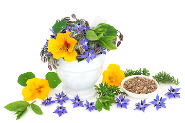 Image showing Herbal Medicine for Cold and Flu Remedy