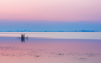 Image showing Lilac Pink Seascape With Gentle Dawn at the Calm Lake