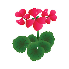 Image showing Vector illustration of bright pink geranium flowers with green l