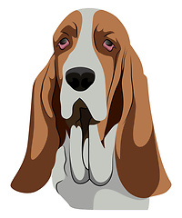 Image showing Basset Hound illustration vector on white background