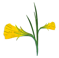 Image showing Clipart of a plant with flowers blossomed as golden bells vector