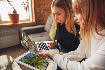 Image showing Young friends, women using gadgets to watch cinema, photos, online courses, taking selfie or vlog