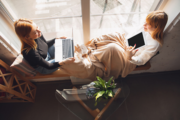 Image showing Young friends, women using gadgets to watch cinema, photos, online courses, taking selfie or vlog