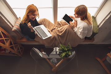 Image showing Young friends, women using gadgets to watch cinema, photos, online courses, taking selfie or vlog